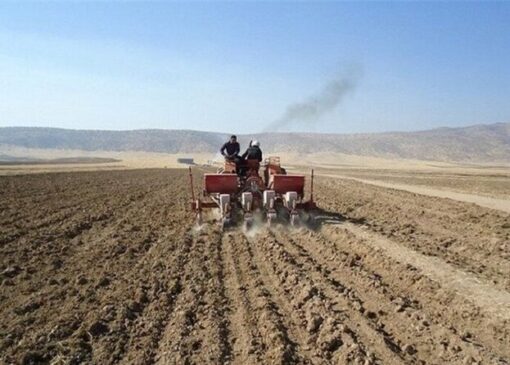 آغاز کشت پاییزه در مزارع مازندران