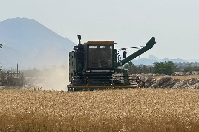 خوش‌نشینی ۳۱۲ هزار ماشین فرسوده در بخش کشاورزی