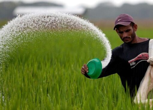 زنگ خطر برای تامین امنیت غذایی به صدا درآمد