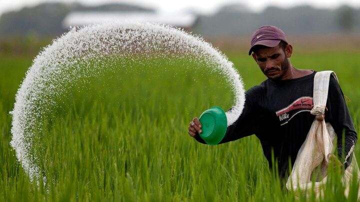 زنگ خطر برای تامین امنیت غذایی به صدا درآمد