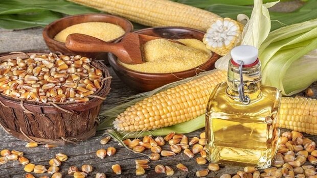 دانه‌های روغنی در حادثه اسکله شهید رجایی آسیبی ندیدند