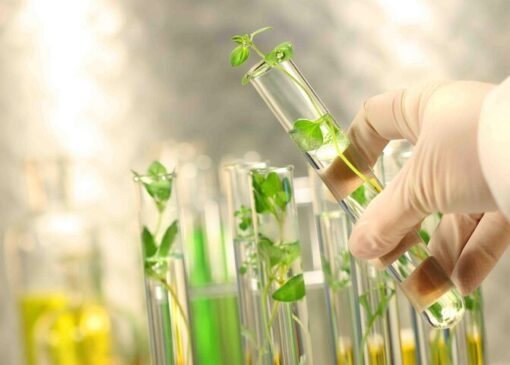 امنیت غذایی پایدار با حفظ تنوع زیستی و منابع ژنتیکی