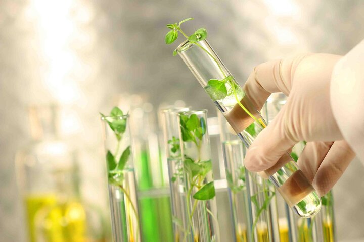 امنیت غذایی پایدار با حفظ تنوع زیستی و منابع ژنتیکی