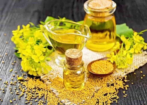 چرا امسال کلزا کمتر کشت شد؟