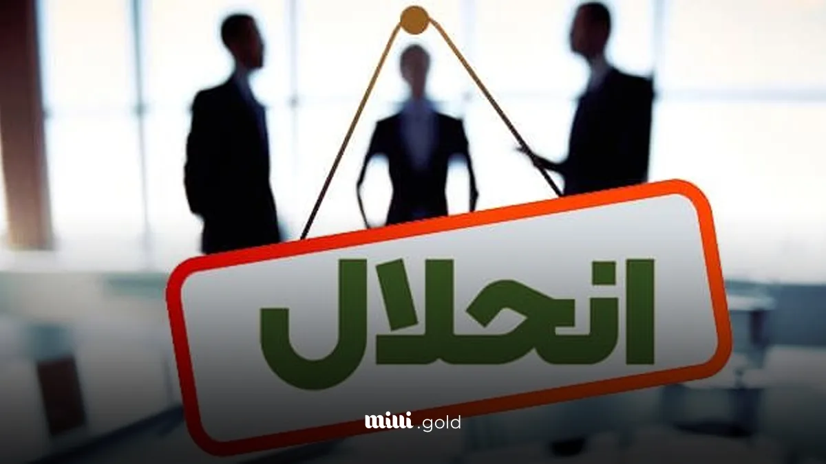مسیر انحلال بانک‌ها