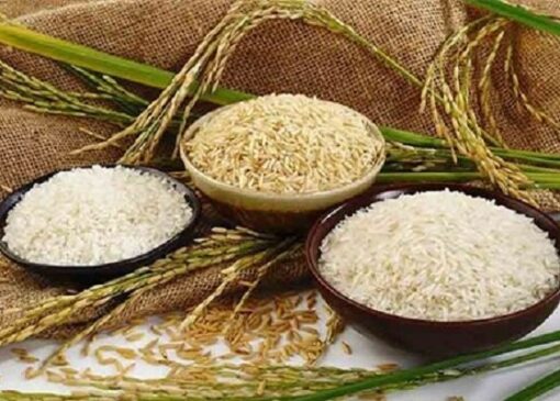 حذف واردات برنج‌های با کیفیت برای صرفه‌جویی ارزی