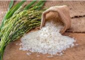 قیمت برنج پاکستانی امروز ۱۲ خرداد ۱۴۰۴