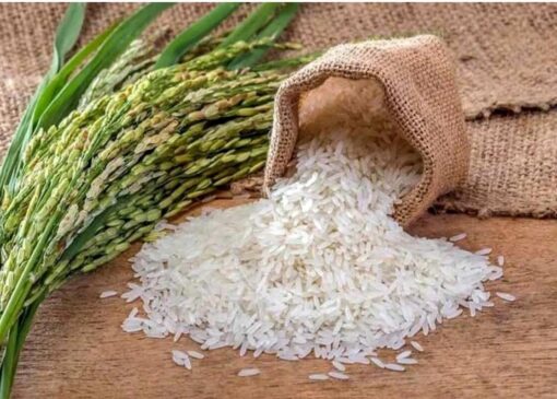 قیمت برنج پاکستانی امروز ۱۲ خرداد ۱۴۰۴