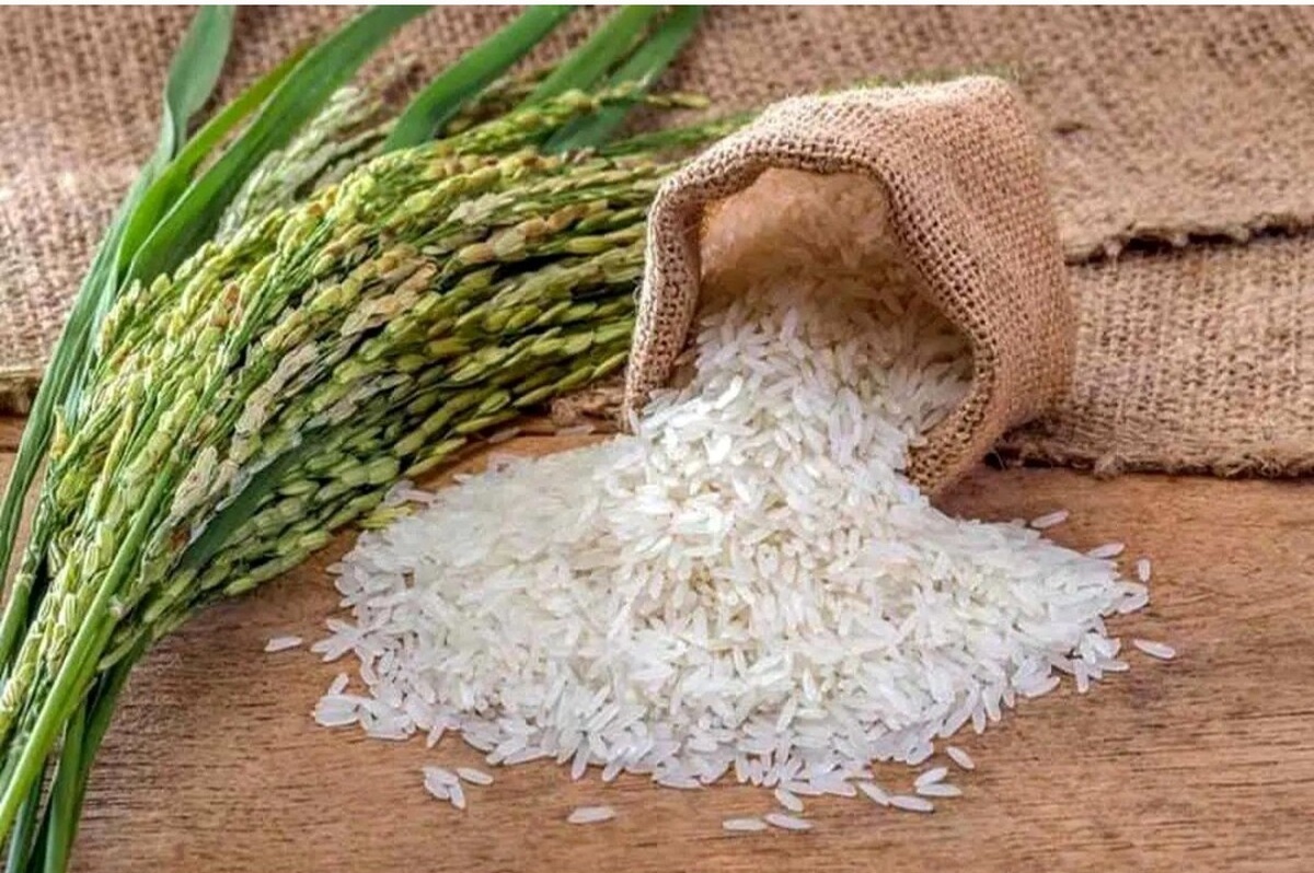 قیمت برنج پاکستانی امروز ۱۲ خرداد ۱۴۰۴