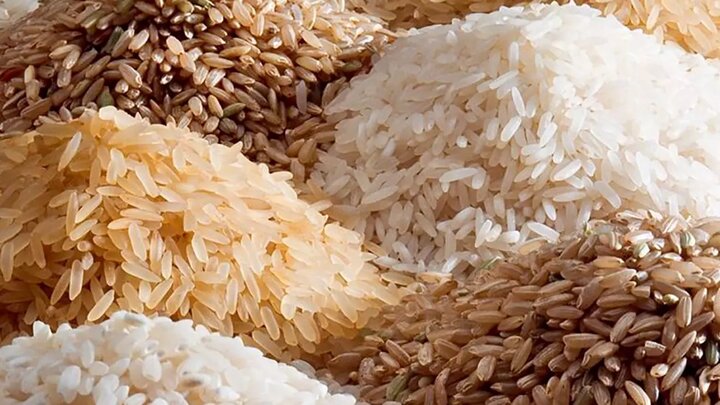 ناترازی در بازار برنج
