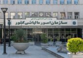 «واکنش ذینفع»؛ مالیات آسان، شفاف و در دسترس