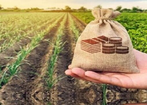۱۷۲ صندوق توسعه کشاورزی در کشور فعال است