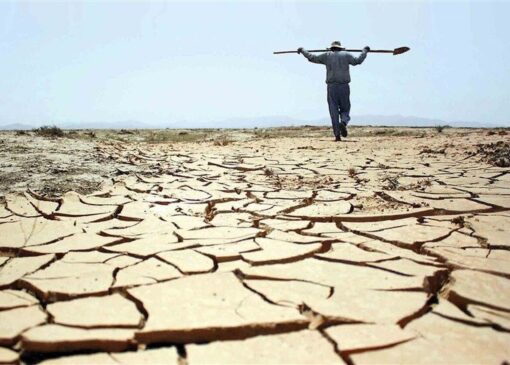 سقوط ۴۰ درصدی اشتغال در بخش کشاورزی