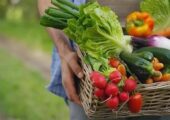 جهان برای تامین امنیت غذایی چاره‌ای جز پذیرش تراریخته‌ها ندارد