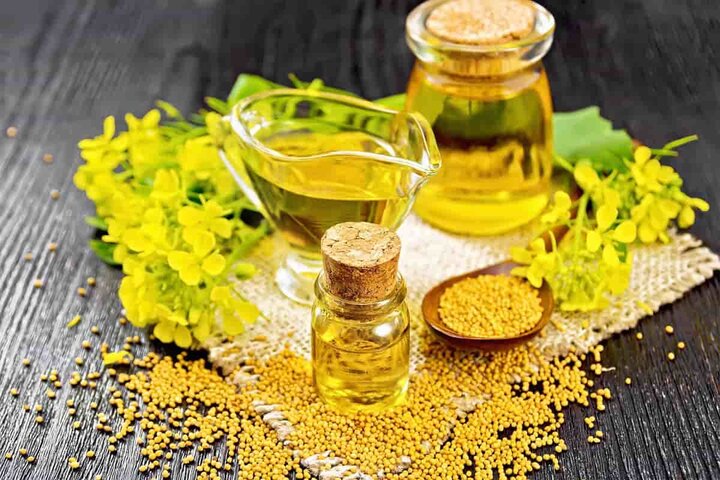 خرید تضمینی کلزا از ۲۵۰ هزار تن عبور نمی‌کند
