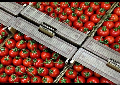 سوریه واردات محصولات کشاورزی از ترکیه را ممنوع کرد