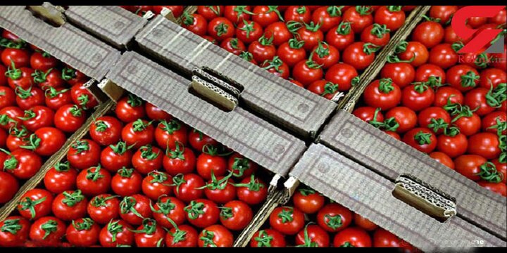 سوریه واردات محصولات کشاورزی از ترکیه را ممنوع کرد