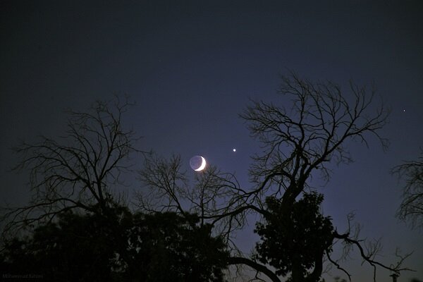 بزم سیارات در آسمان صبحگاهی ۲۹ مرداد؛ زهره، مشتری و ماه در یک قاب