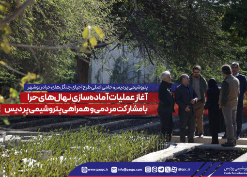 آغاز عملیات آماده‌سازی نهال‌های حرا با مشاركت مردمی و همراهی پتروشیمی پردیس