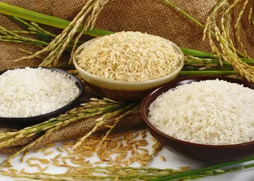 فقط دو نوع برنج هندی و پاکستانی وارد می‌شود که کیفیت چندان بالایی ندارند