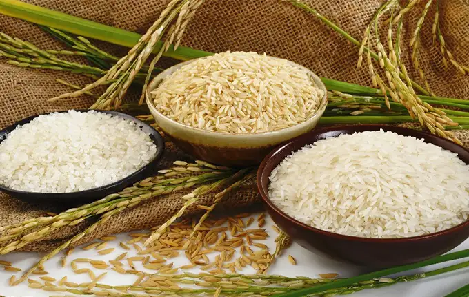 فقط دو نوع برنج هندی و پاکستانی وارد می‌شود که کیفیت چندان بالایی ندارند