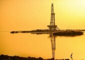 اولویت راهبردی باید به توسعه میادین مشترک اختصاص یابد