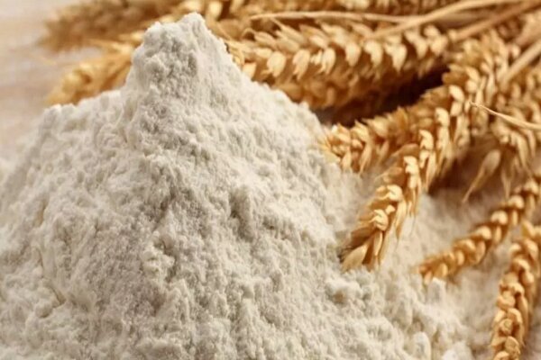 آرد کامل در مسیر تثبیت جایگاه ملی قرار دارد