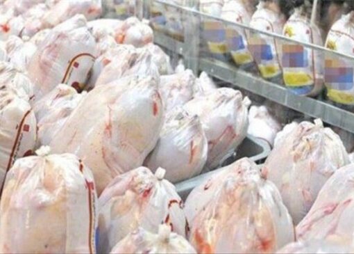 قیمت مرغ تا ۳ روز آینده کاهش می‌یابد