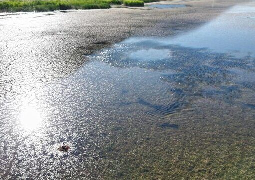 پاییز بی‌باران در راه است