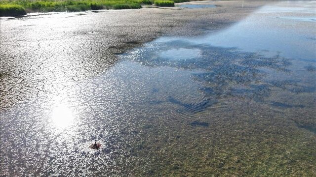 پاییز بیباران در راه است