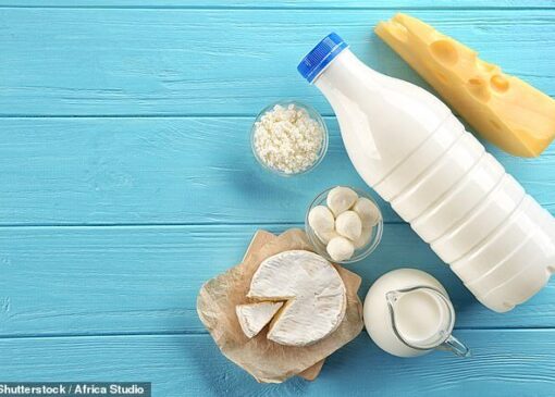 افزایش قیمت لبنیات از سر ناچاری است، نه سودجویی!