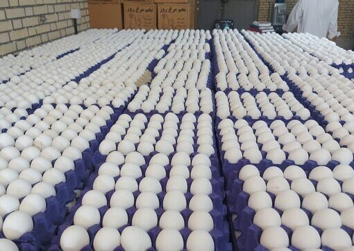 چرا شانه تخم‌مرغ به ۲۵۰ هزار تومان رسید؟