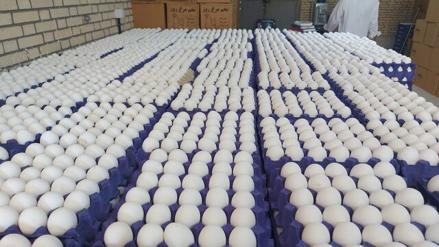 چرا شانه تخممرغ به ۲۵۰ هزار تومان رسید؟