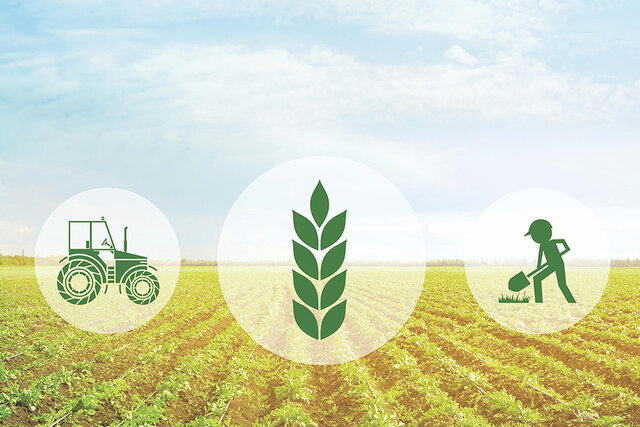 کشاورزی پرریسک نیست، ما فقط بلد نیستیم برایش طرح بنویسیم!