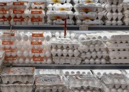 تخم‌مرغ گران نیست