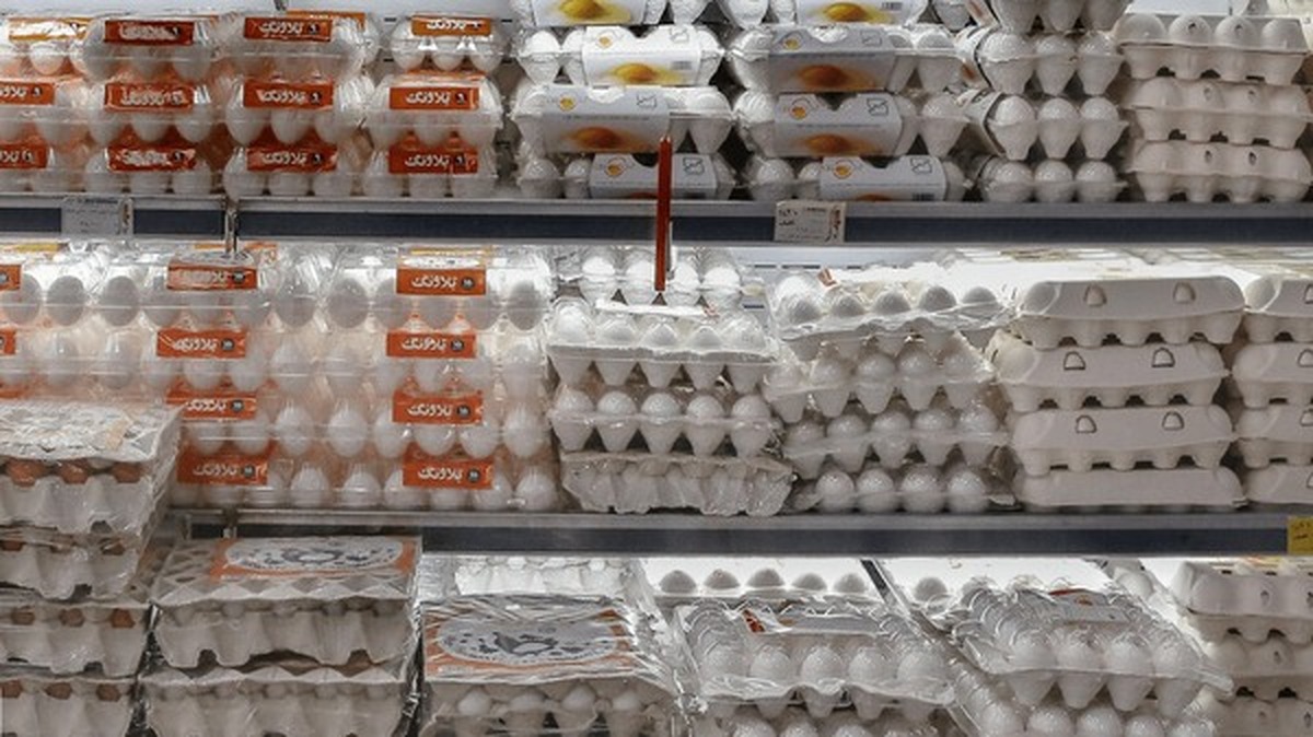 تخم‌مرغ گران نیست