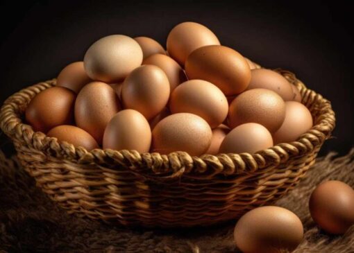 تخم‌مرغ غذای تمام آحاد جامعه است