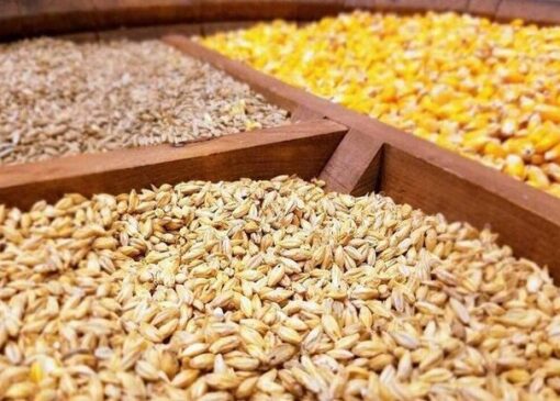 حمل نهاده‌های دامی به واحدهای تولیدی به دستور رئیس‌جمهور آغاز شد