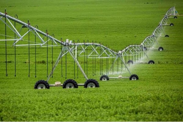 ۹۶ میلیارد دلار ارز حاصل از صادرات به کشور باز نمی گردد