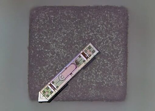 قدرت خواندن ذهن از طریق یک دانه نمک!