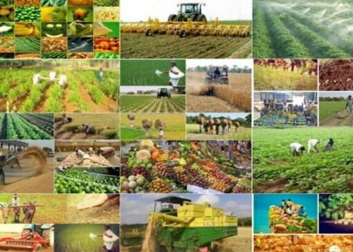 حذف عوارض آب مجازی از ۵ محصول آب‌بر کشاورز ابلاغ شد