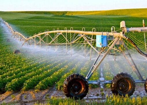 بحران آب زیر پوست مدیریت؛ چرا همیشه کشاورزی مقصر معرفی می شود؟