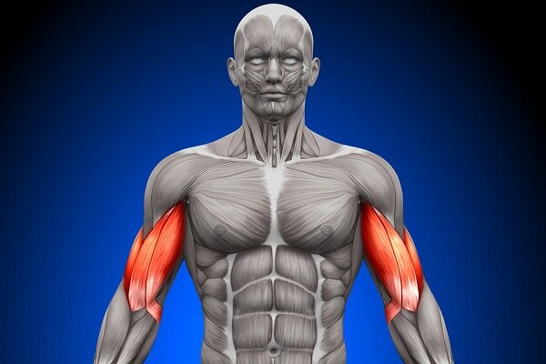 نامه مولکولهای بدن به یکدیگر فاش شد