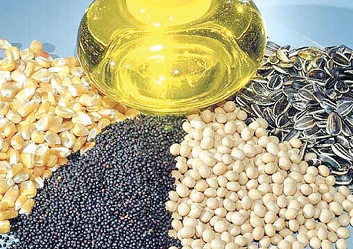 نامه انجمن روغن‌کشی کشور به وزیر جهاد کشاورزی