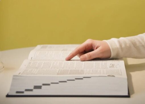 «تفاله» زیر سایه هوش مصنوعی کلمه سال ۲۰۲۵ شد