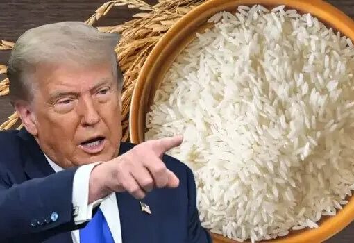 تعرفه‌های جدید ترامپ علیه برنج هندی