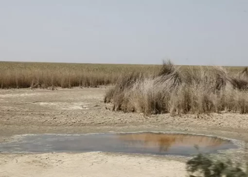 ۷۰ چاه آب جدید در تهران حفر می‌شود