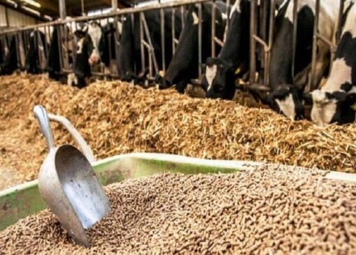 آخرین وضعیت بازار نهاده پس از نرخ گذاری جدید