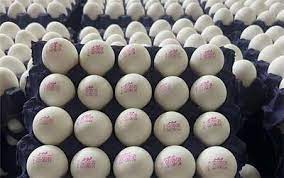 نوسان قیمتی بازار تخم‌مرغ روزانه شد