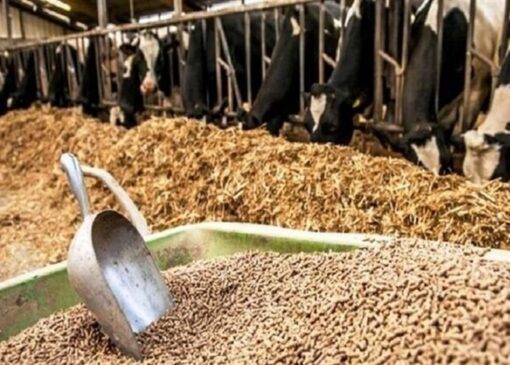 اعلام نرخ ارشادی نهاده های دامی بالاتر از بازار